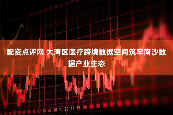 配资点评网 大湾区医疗跨境数据空间筑牢南沙数据产业生态