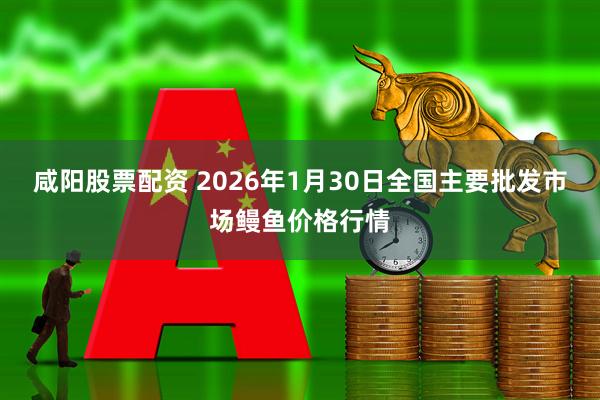 咸阳股票配资 2026年1月30日全国主要批发市场鳗鱼价格行情