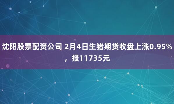 沈阳股票配资公司 2月4日生猪期货收盘上涨0.95%，报11735元