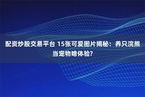 配资炒股交易平台 15张可爱图片揭秘：养只浣熊当宠物啥体验?