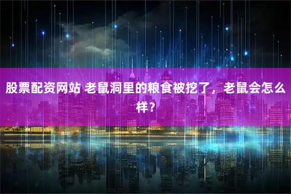 股票配资网站 老鼠洞里的粮食被挖了，老鼠会怎么样？